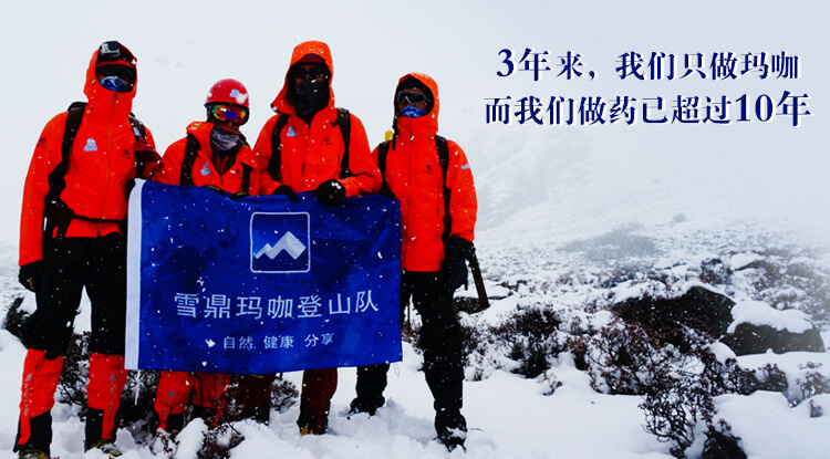 雪鼎玛咖登山队